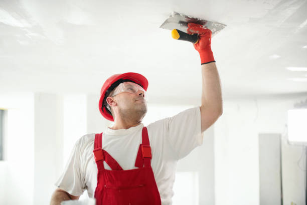 Best Emergency Mold Remediation  in Seven Oaks, SC