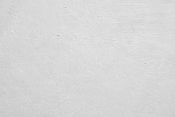 Best Mold Damage Restoration  in Seven Oaks, SC