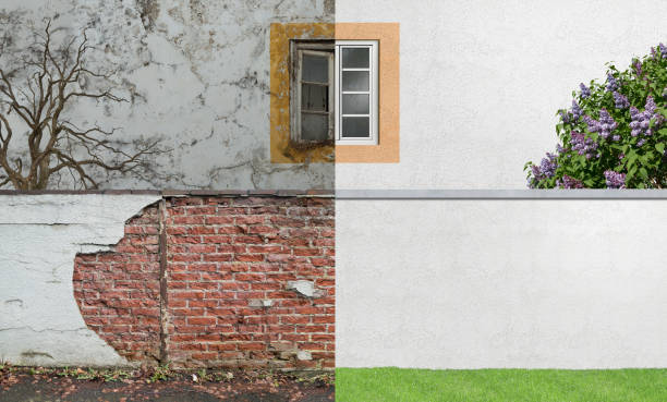 Best Mold Remediation for Healthcare Facilities  in Seven Oaks, SC