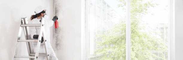 Best Dehumidification Services  in Seven Oaks, SC